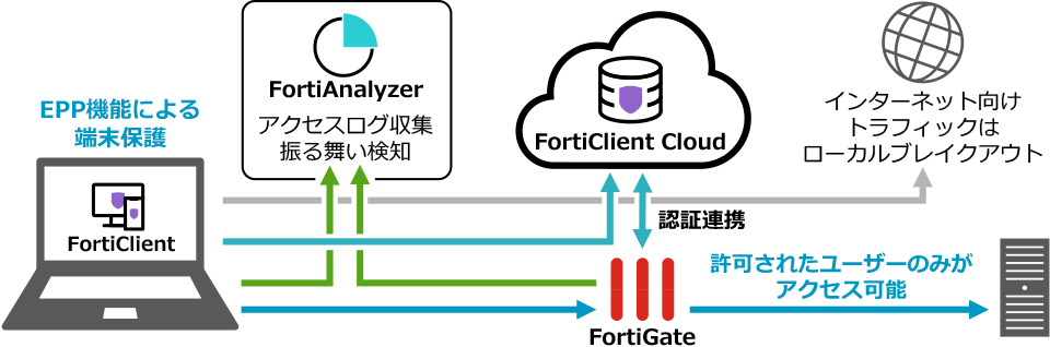 特長と概要